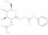 D-Gluconimidic acid, 2-(acetylamino)-2-deoxy-N-[[(phenylamino)carbonyl]oxy]-, δ-lactone, (1Z)-