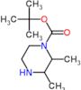 tert-butyl 2,3-dimethylpiperazine-1-carboxylate