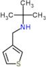 2-methyl-N-(thiophen-3-ylmethyl)propan-2-amine