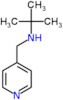 2-methyl-N-(pyridin-4-ylmethyl)propan-2-amine