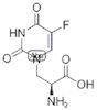(S)-5-fluorowillardiine
