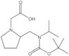 2-[[[(1,1-Dimethylethoxy)carbonyl](1-methylethyl)amino]methyl]-1-pyrrolidineacetic acid