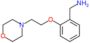 1-[2-(2-morpholin-4-ylethoxy)phenyl]methanamine