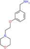 1-[3-(2-morpholin-4-ylethoxy)phenyl]methanamine