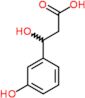 3-(3-Hydroxyphenyl)-3-hydroxypropionic acid