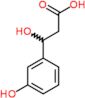 3-hydroxy-3-(3-hydroxyphenyl)propanoic acid