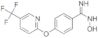 4-(5-Trifluoromethyl-2-pyridyloxy)benzamidoxime