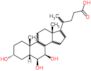 β-Muricholic acid