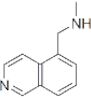 5-Isoquinolinemethanamine,N-methyl-(9CI)