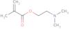 Poly[2-(dimethylamino)ethyl methacrylate]