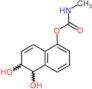 5,6-dihydroxy-5,6-dihydronaphthalen-1-yl methylcarbamate