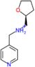 1-pyridin-4-yl-N-(tetrahydrofuran-2-ylmethyl)methanamine