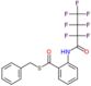 S-benzyl 2-[(2,2,3,3,4,4,4-heptafluorobutanoyl)amino]benzenecarbothioate