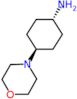 4-morpholinocyclohexanamine