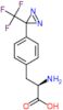 4-[3-(trifluoromethyl)-3H-diaziren-3-yl]-D-phenylalanine