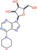 6-(morpholin-4-yl)-9-pentofuranosyl-9H-purine