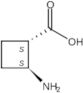 (1S,2S)-2-Aminocyclobutanecarboxylic acid