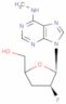 N(6)-methyl-2',3'-dideoxy-2'-fluoro-beta-arabinofuranosyladenine