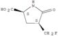 L-Proline,4-(fluoromethyl)-5-oxo-, (4S)-