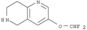 1,6-Naphthyridine,3-(difluoromethoxy)-5,6,7,8-tetrahydro-