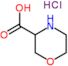 morpholine-3-carboxylic acid hydrochloride