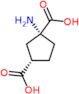 (1R,3S)-1-aminocyclopentane-1,3-dicarboxylic acid