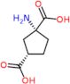 trans-1-Amino-1,3-cyclopentanedicarboxylic acid