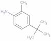 4-(1,1-Dimethylethyl)-2-methylbenzenamine