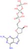 2-amino-2'-deoxyadenosine 5'-(tetrahydrogen triphosphate)