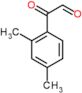 (2,4-dimethylphenyl)(oxo)acetaldehyde