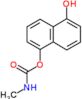 1,5-Naphthalenediol, 1-(N-methylcarbamate)