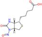 5-[(3aS,4S,6aR)-1-nitroso-2-oxohexahydro-1H-thieno[3,4-d]imidazol-4-yl]pentanoic acid