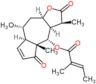 11,13-Dihydrohelenalin tiglate