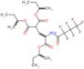 tributan-2-yl 3-[(2,2,3,3,4,4,4-heptafluorobutanoyl)amino]propane-1,1,3-tricarboxylate