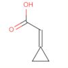 2-Cyclopropylideneacetic acid