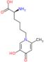 6-(5-hydroxy-2-methyl-4-oxopyridin-1(4H)-yl)-L-norleucine