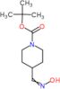 tert-butyl 4-(hydroxyiminomethyl)piperidine-1-carboxylate
