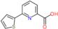 6-thiophen-2-ylpyridine-2-carboxylic acid