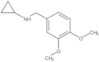 N-Cyclopropyl-3,4-dimethoxybenzenemethanamine