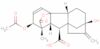 gibberellin A3 3-acetate