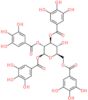 1,2,3,6-Tetra-O-galloyl-β-D-glucose