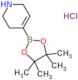 4-(4,4,5,5-Tetramethyl-1,3,2-dioxaborolan-2-yl)-1,2,3,6-tetrahydropyridine hydrochloride (1:1)