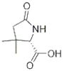 Proline, 3,3-dimethyl-5-oxo- (9CI)