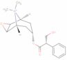 (-)-N-Methylscopolamin