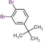 1,2-dibromo-4-tert-butylbenzene