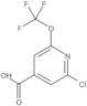 2-Chloro-6-(trifluoromethoxy)-4-pyridinecarboxylic acid