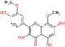 3,5,7-trihydroxy-2-(4-hydroxy-3-methoxyphenyl)-8-methoxy-4H-chromen-4-one