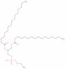 rac-1,2-dipalmitoyl-glycero-3-phospho-ethanolamine