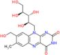 5-deoxy-5-[8-(hydroxymethyl)-7-methyl-2,4-dioxo-3,4-dihydrobenzo[g]pteridin-10(2H)-yl]-D-ribitol