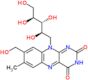 Riboflavin, α8-hydroxy-